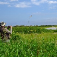 Workshop Landschapsfotografie